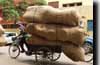 Delhi : pousse-pousse