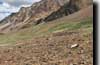 panoramique