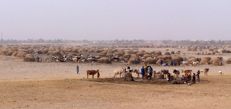 Mopti