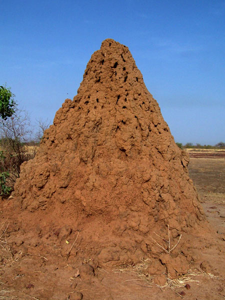San