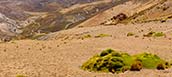 Altiplano