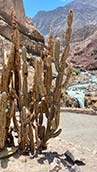 Chutes de Sipia