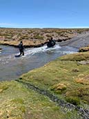 Altiplano