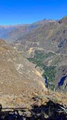 Colca