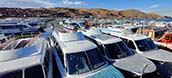 Puno