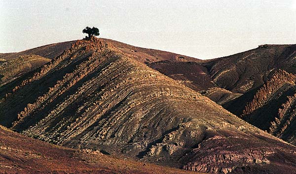 paysage