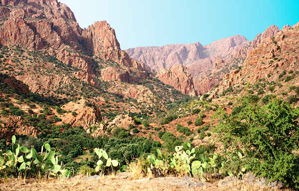 Tafraoute