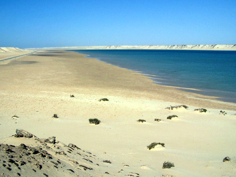 Dakla