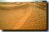 le desert