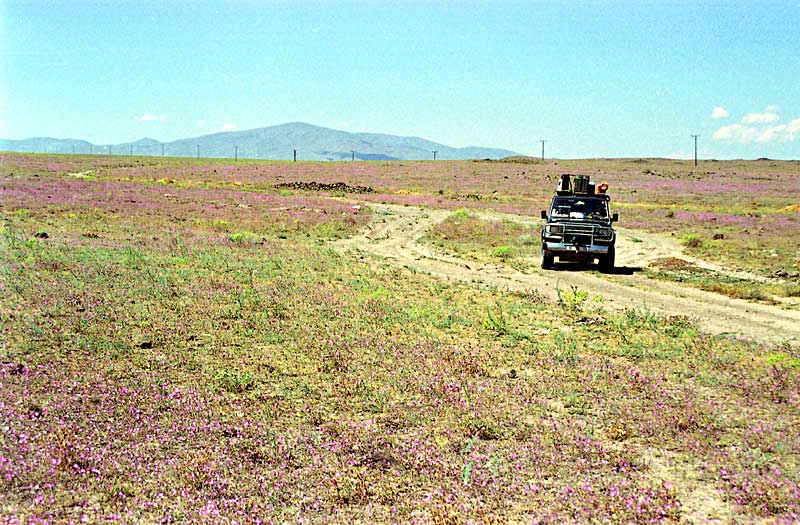 Près d' Alem