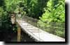 pont